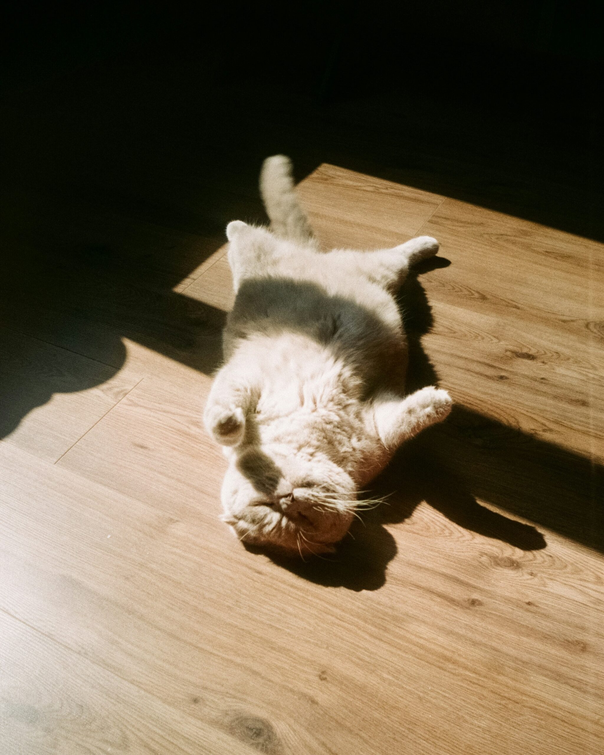 Hello world!